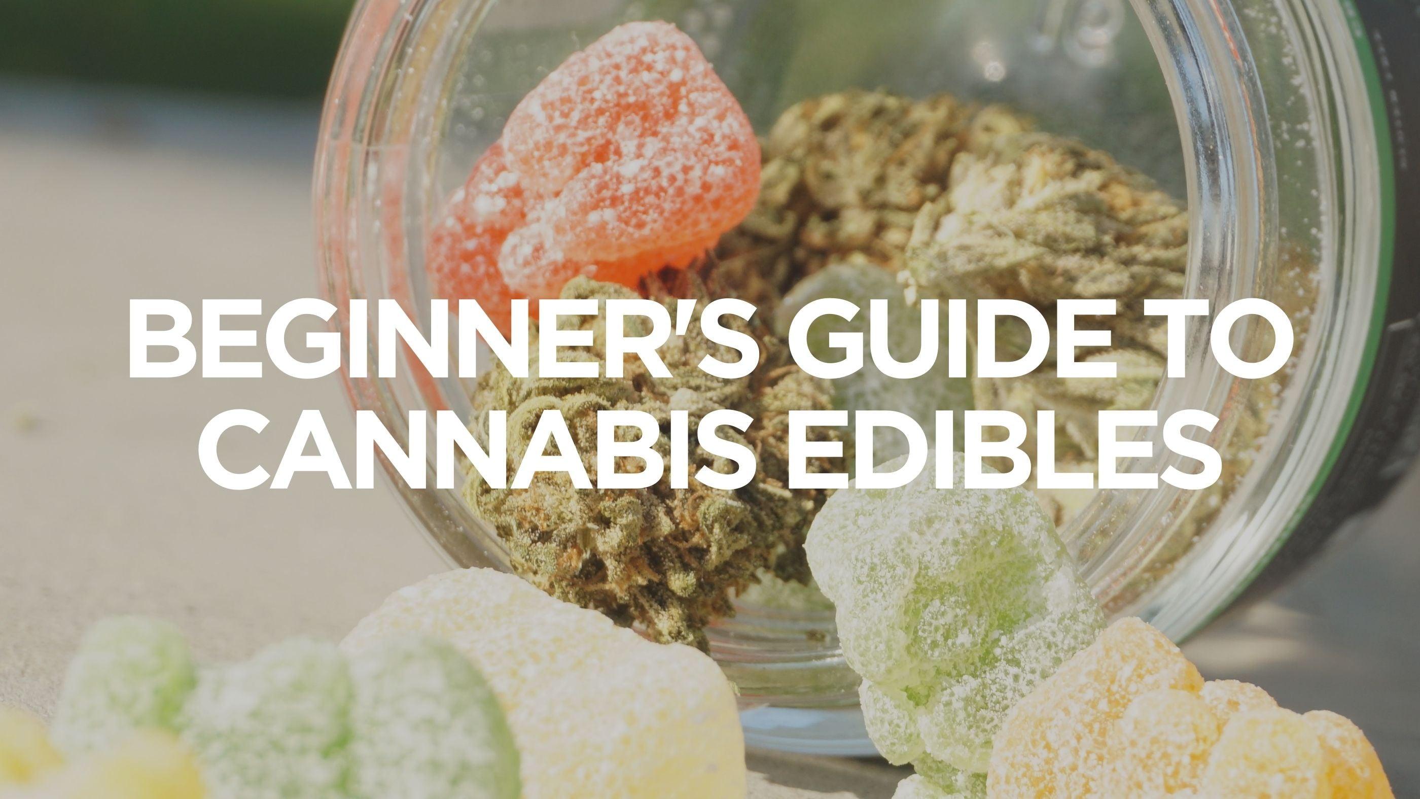 Cannabis Edibles 101: A Beginner's Guide to Edible Dosing - Snoozy