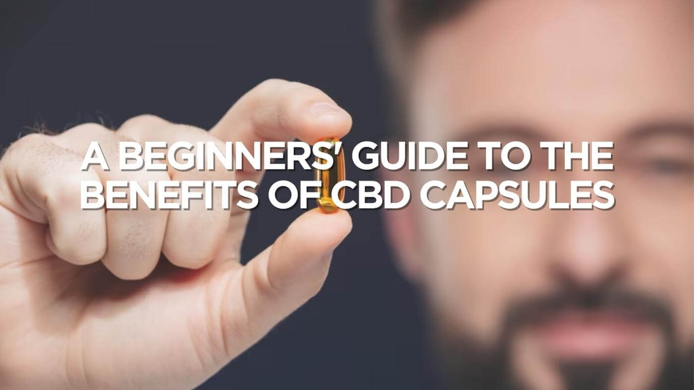 A Beginners' Guide To the Benefits of CBD Capsules