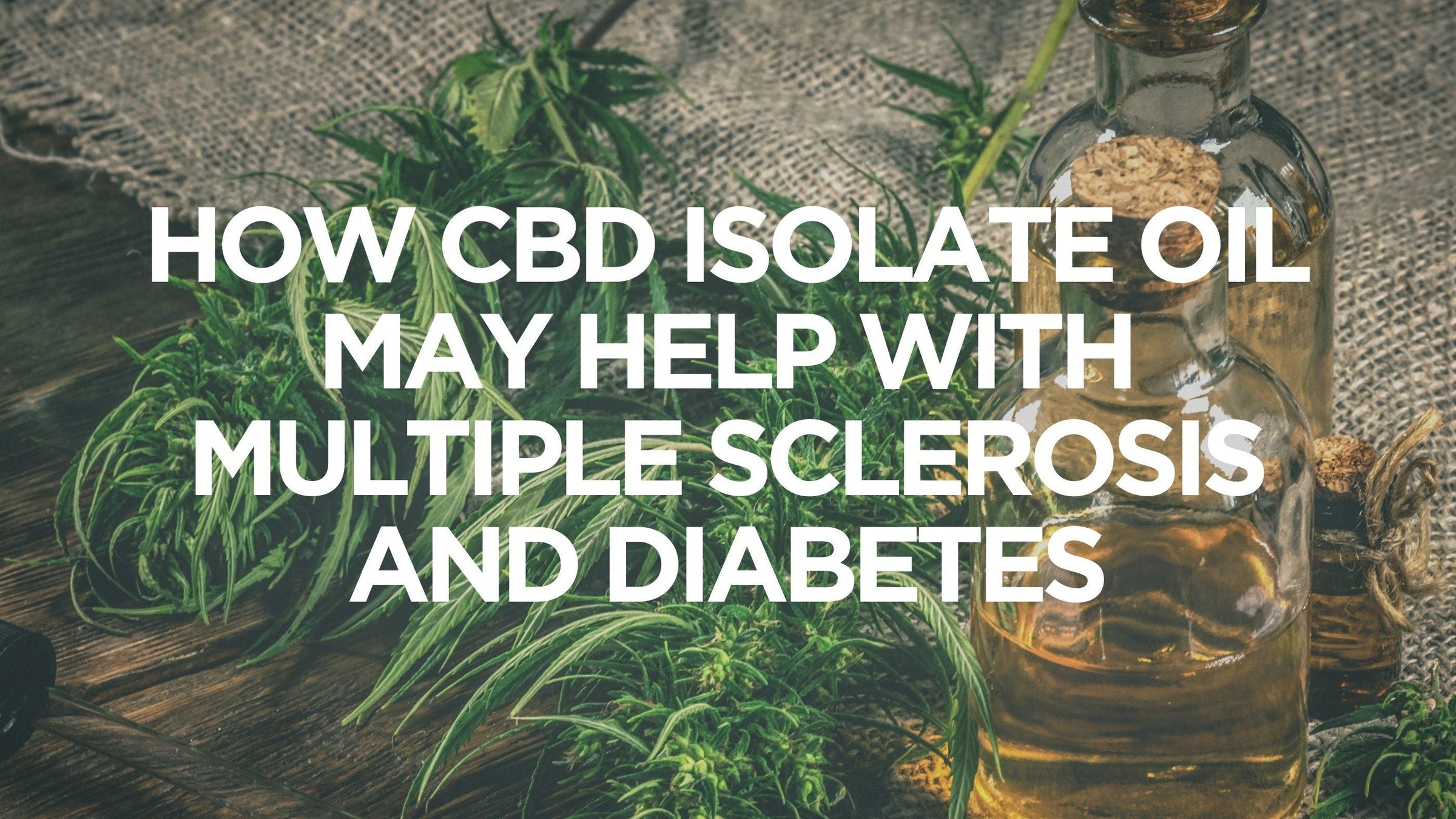 how-cbd-isolate-oil-helps-with-multiple-sclerosis