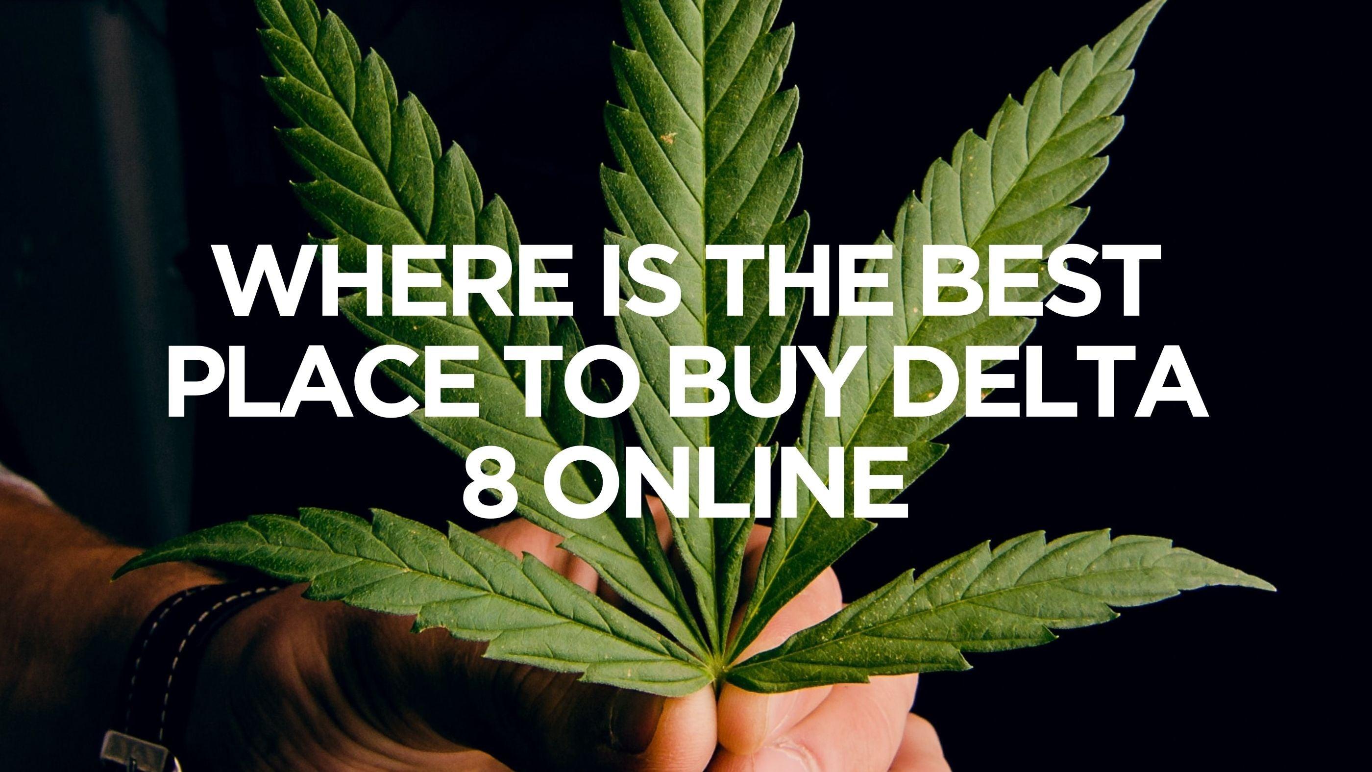 best-place-to-buy-delta-8-online