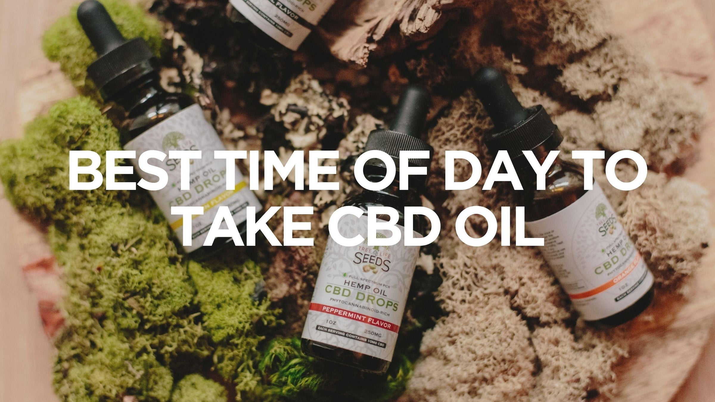 best-time-of-day-to-take-cbd-oil
