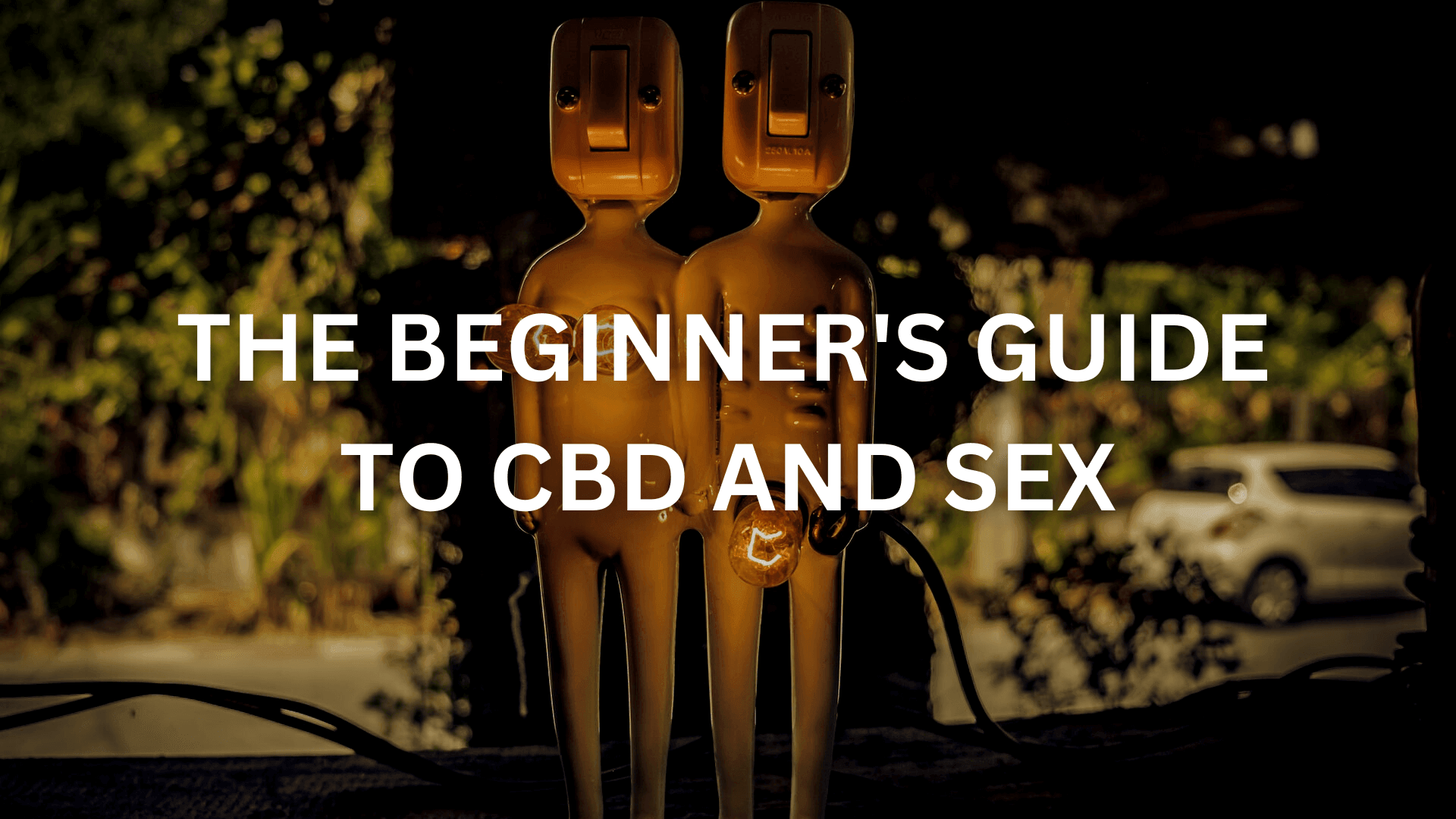 The Beginner's Guide to CBD and Sex