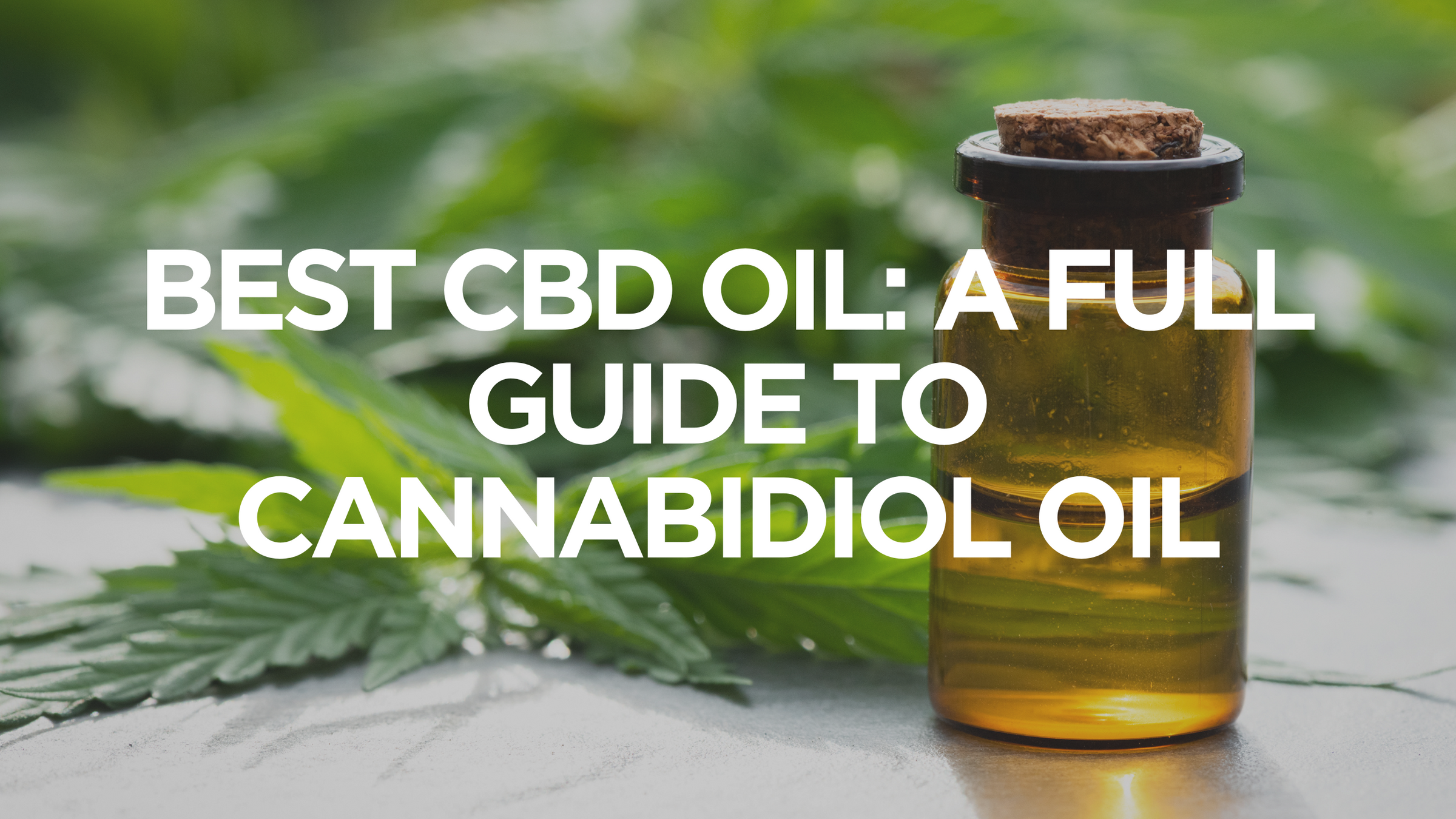 Best CBD Oil: A Full Guide to Cannabidiol Oil