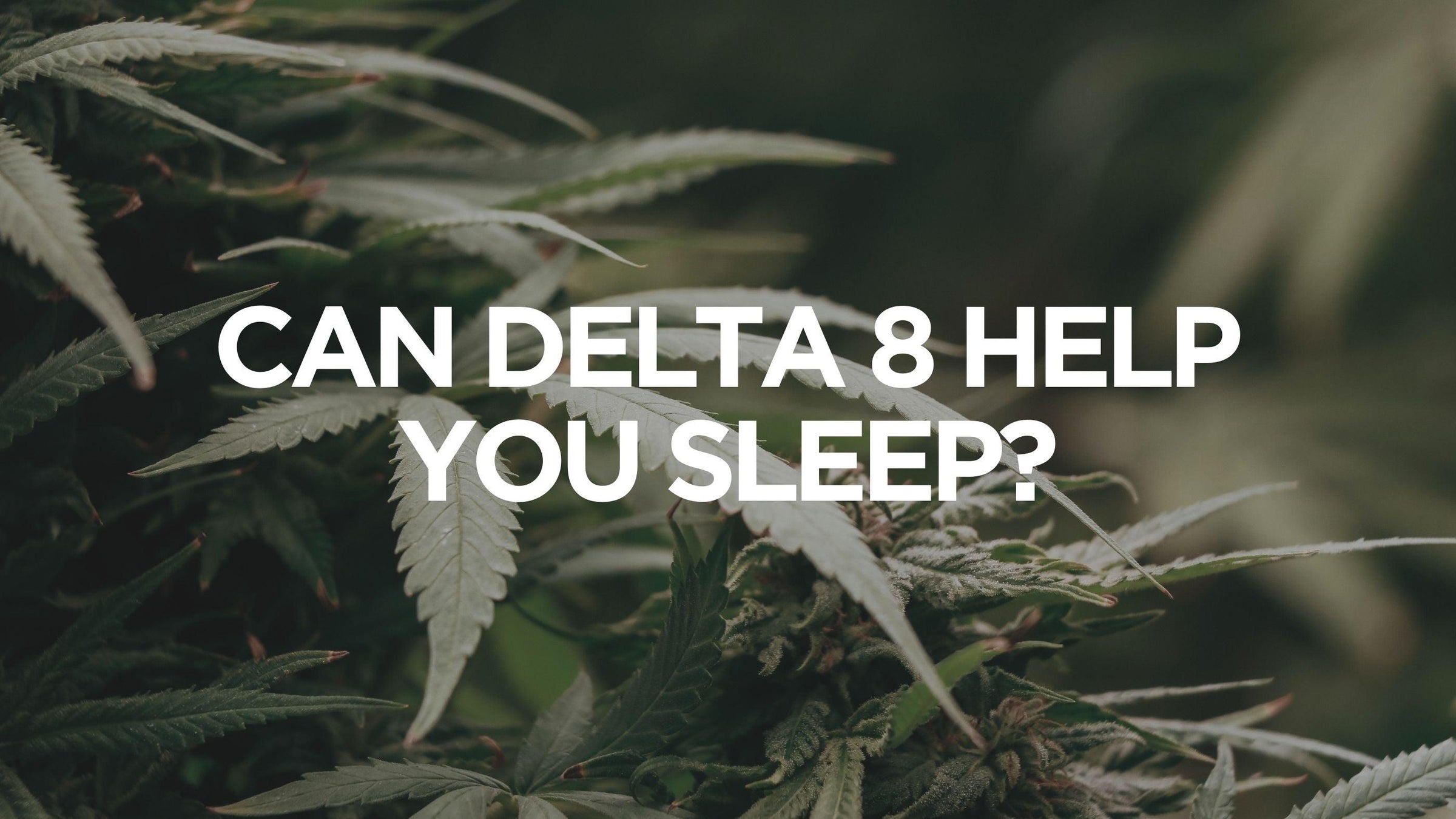 can-delta-8-help-you-sleep