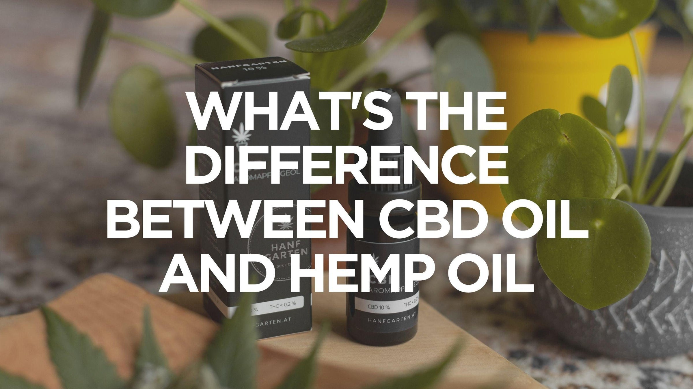 difference-between-cbd-oil-and-hemp-oil