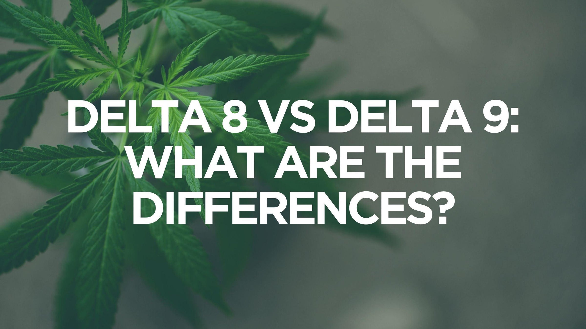 delta-8-vs-delta-9
