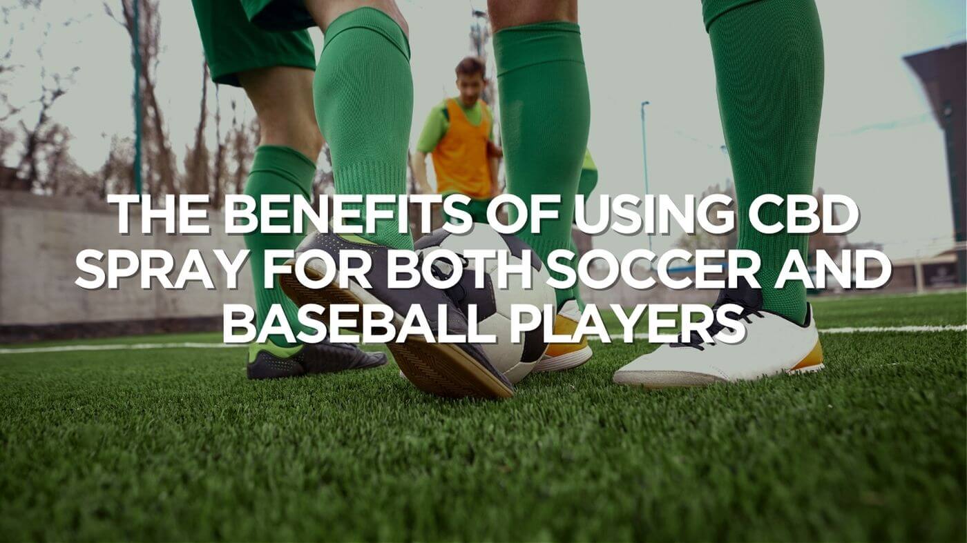 The Benefits of Using CBD Spray for Both Soccer and Baseball Players | Fusion CBD