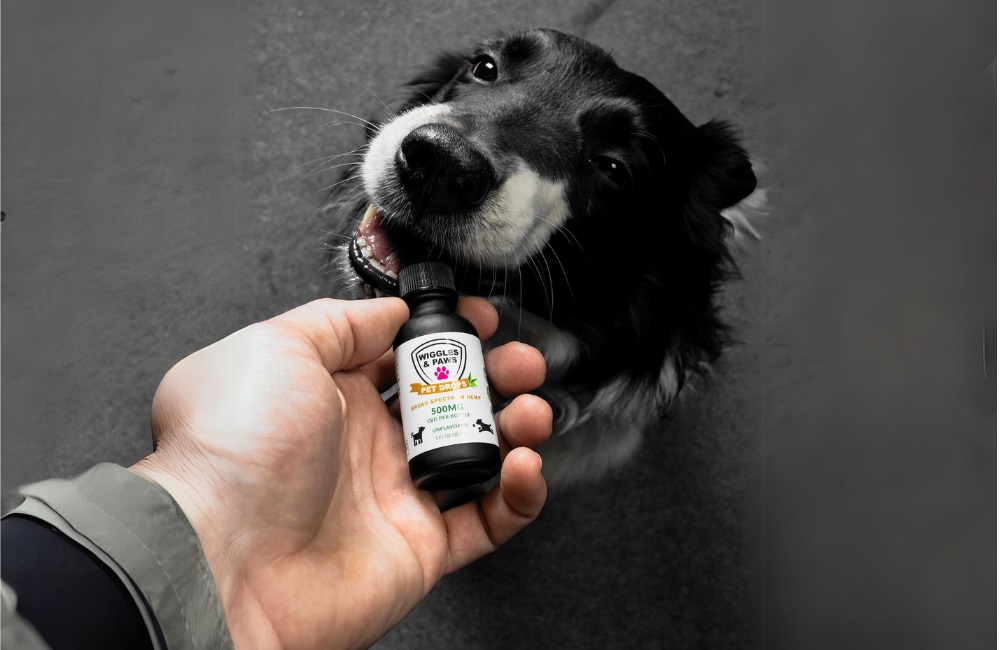 CBD for Dogs