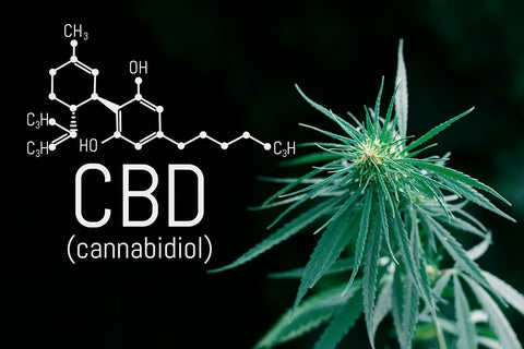 Cannabinoid